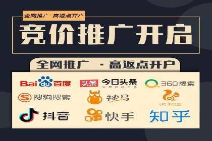 成功SEM推广代运营案例展示